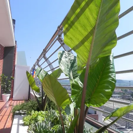 Hakuna Matata Pescara