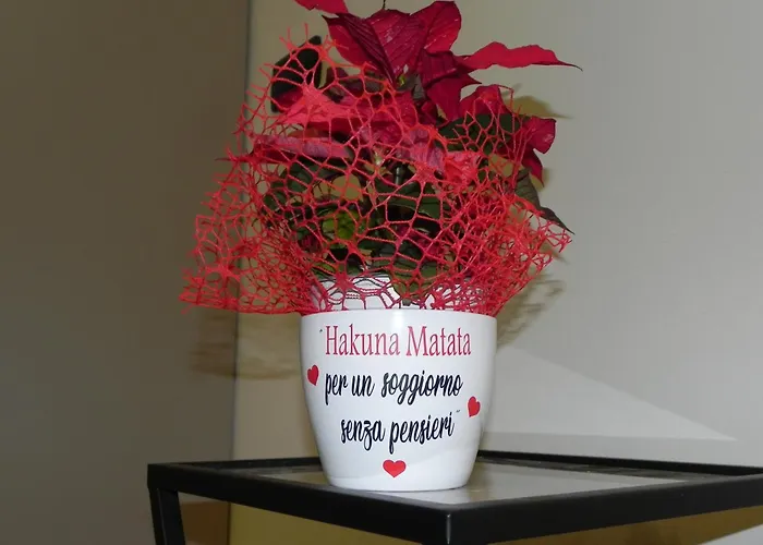 Hakuna Matata Oda ve Kahvaltı