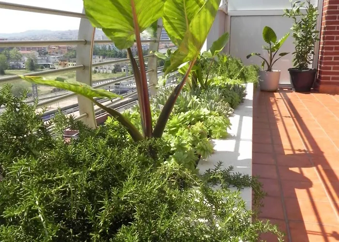 Oda ve Kahvaltı Hakuna Matata Pescara