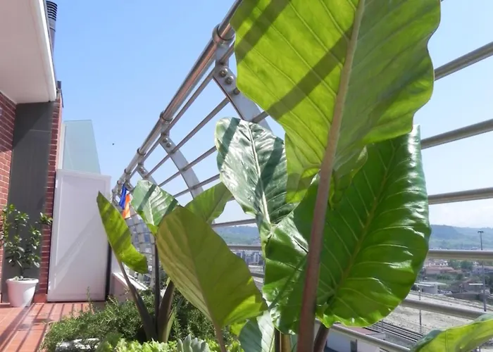 Hakuna Matata Pescara