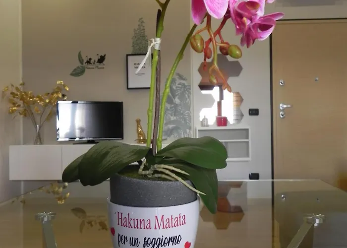 Hakuna Matata Pescara