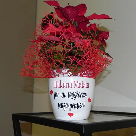 Hakuna Matata فندق مبيت وإفطار