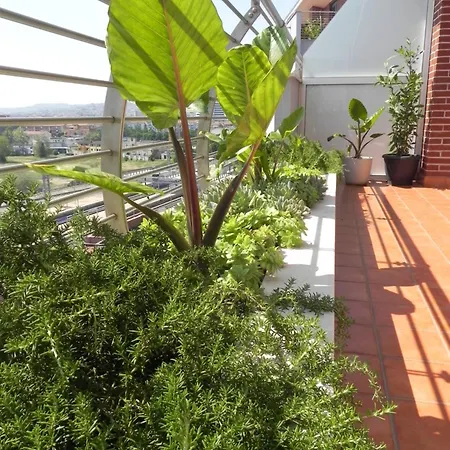 Panzió Hakuna Matata Pescara