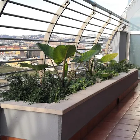 Hakuna Matata Bed & Breakfast Pescara