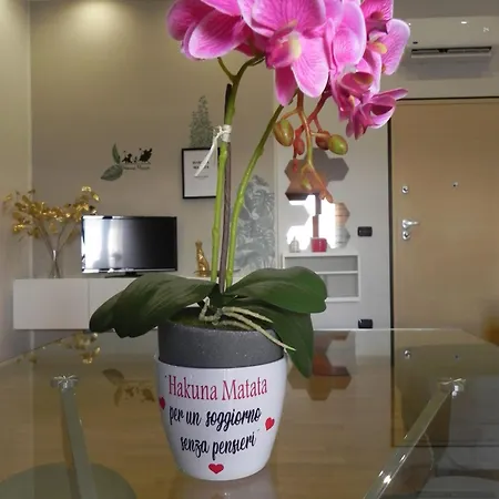 Hakuna Matata פסקרה
