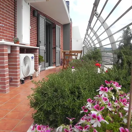 Hakuna Matata 4* Pescara