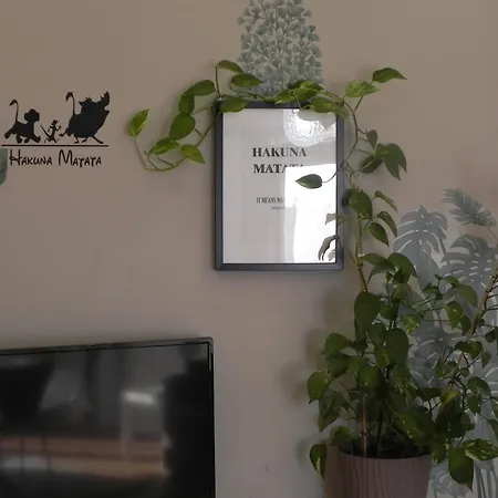 Hakuna Matata Pescara
