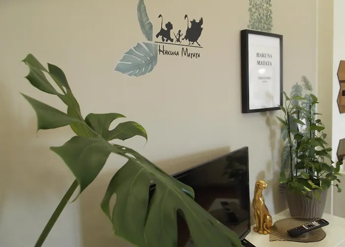 Hakuna Matata Отель типа 