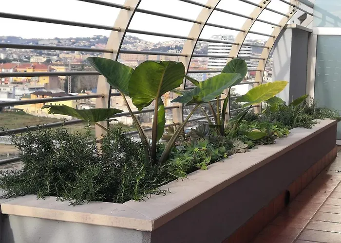 Hakuna Matata Отель типа 